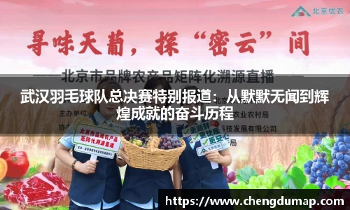 武汉羽毛球队总决赛特别报道：从默默无闻到辉煌成就的奋斗历程